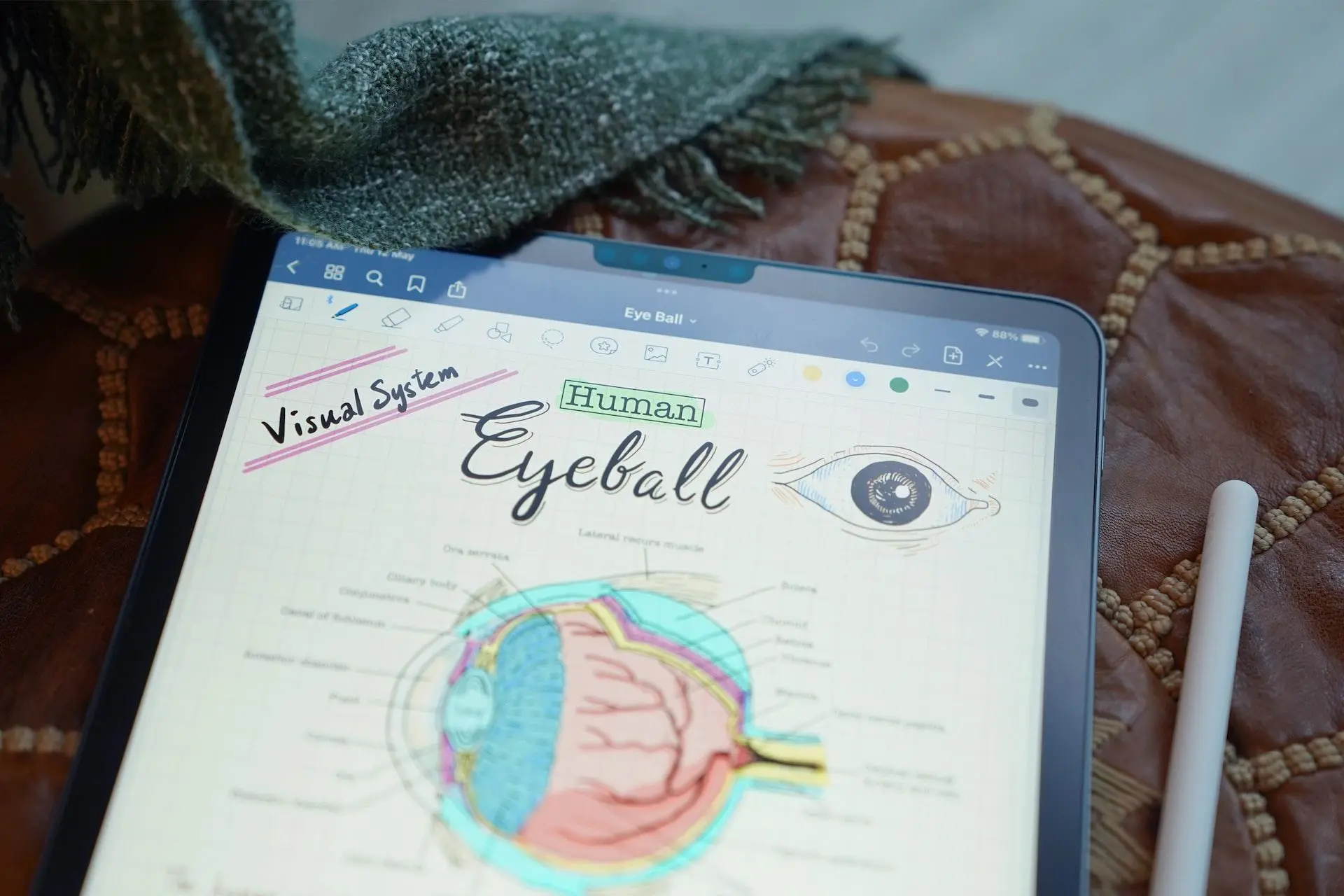 eyeball diagram on a tablet